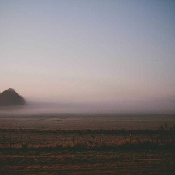 a fine frenzy Quotes Our Past,Your Past,About Yourself