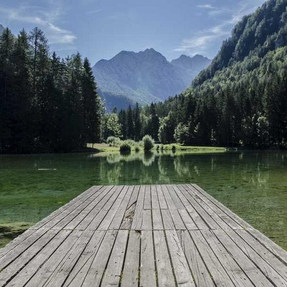 helmut kohl Quotes Absence