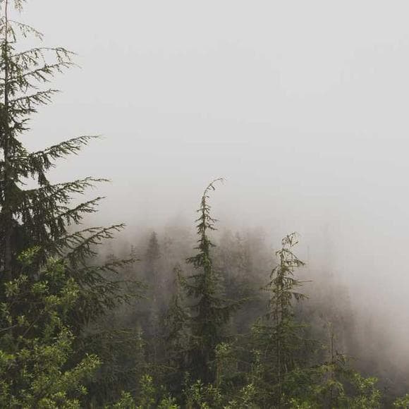 bill mckibben Quotes Abundance,Shortage