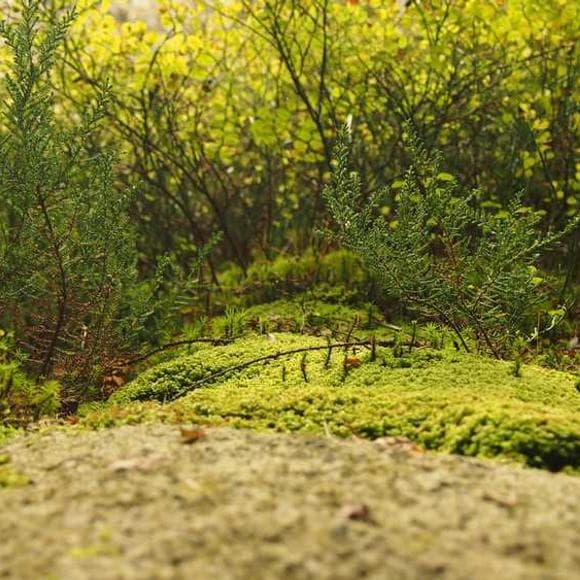 rhonda byrne Quotes Abundance,Optimism,Contradictory