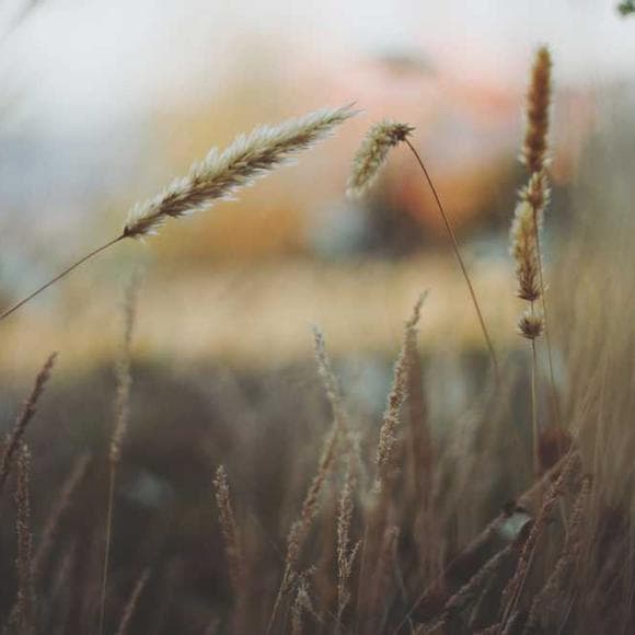 melody beattie Quotes Acceptance,Accepting Life,Accepting