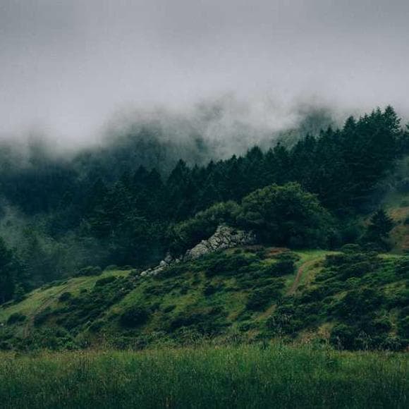 steven furtick Quotes Accepting God,Obsession,Mean