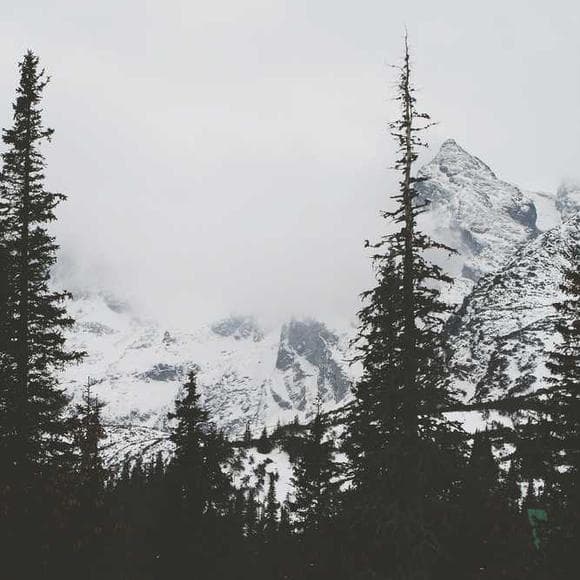 obert c. tanner Quotes Accepting Life,Highest,Quantity