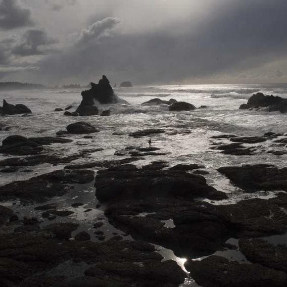 malidoma patrice some Quotes Human Language,Access,Power Of Nature
