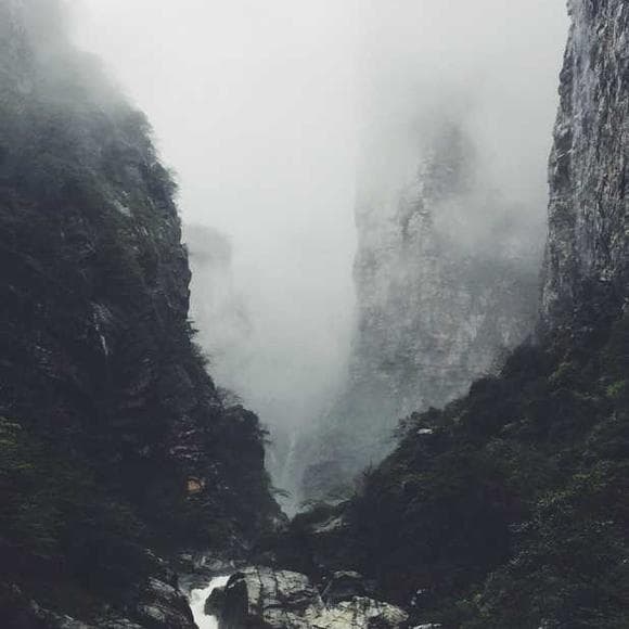 joseph campbell Quotes Accord,Vitality,Yield