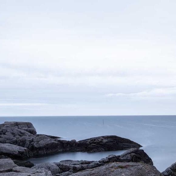 leo tolstoy Quotes Participation,Accord,Resistance