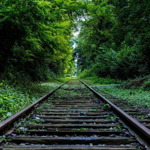 henry david thoreau Quotes Sacrifice,Doorways,Accustomed
