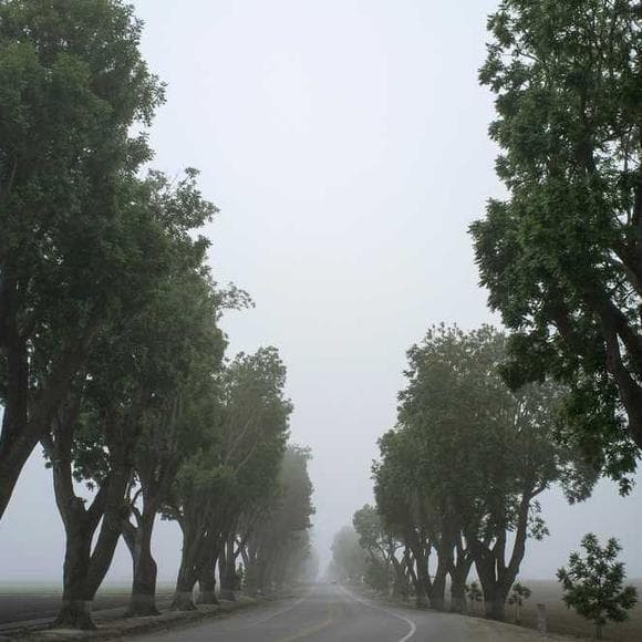 vladimir nabokov Quotes Grove,Four Years,Broke