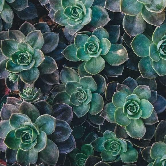neale donald walsch Quotes Firsts,Acknowledge,Love Your Self