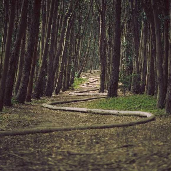 ralph waldo emerson Quotes Addicts In Recovery,Death Prayer,Birthday