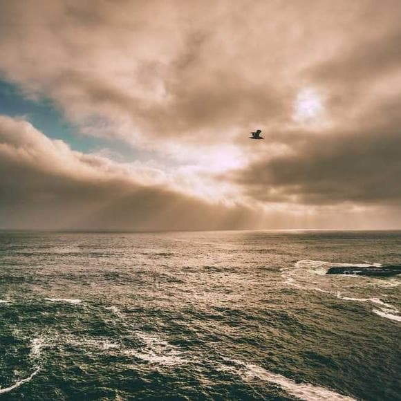 joan didion Quotes Angle,Different Angles,Admiration