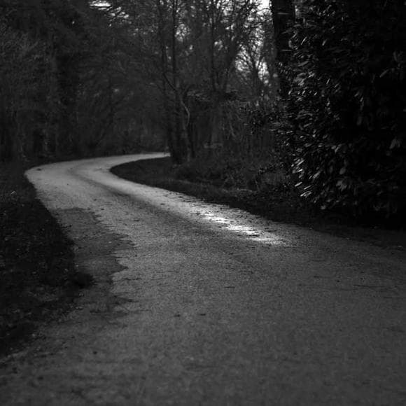 william bolitho Quotes Adventure,Running Away,Away From Home