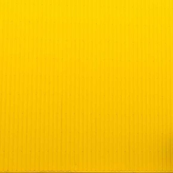 peter singer Quotes Loss,Infant,Happy Life