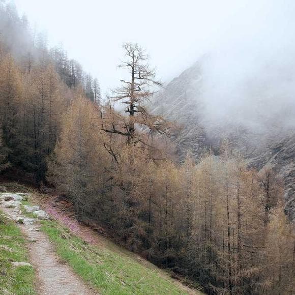 t. s. eliot Quotes Adversity,Difficult Challenges,Difficult Times