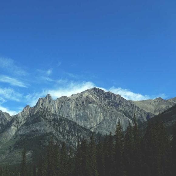 rajneesh Quotes Aesthetics,Unbelievable,Stills