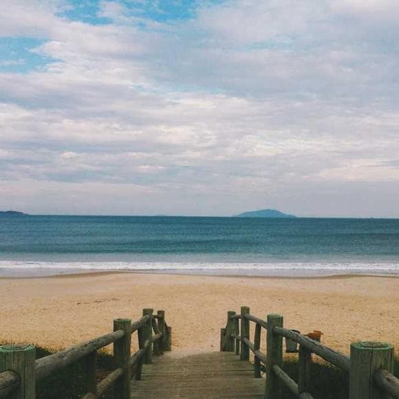 brené brown Quotes Affection,Vulnerability,Offering
