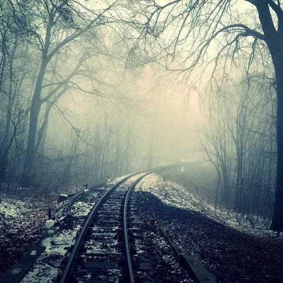 carson mccullers Quotes New Ways,Paradox,Bridges