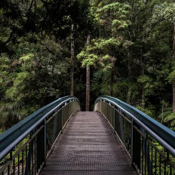 henry david thoreau Quotes Hiking,Path,Again And Again