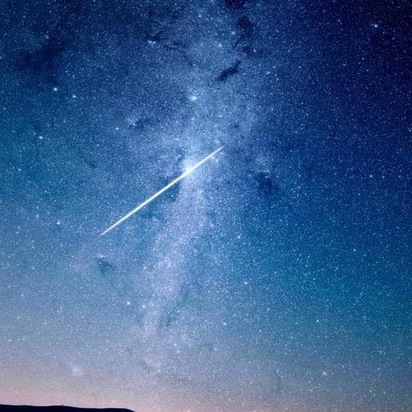 jose saramago Quotes Characteristics,Aliens,Insolent