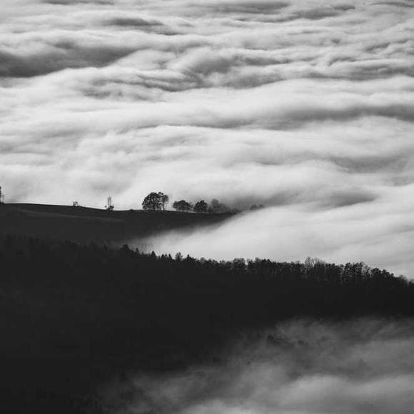 zhuangzi Quotes Compare,Born,Dimensions