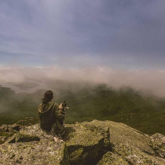 andrew weil Quotes Psychedelic,Alive,Distinction