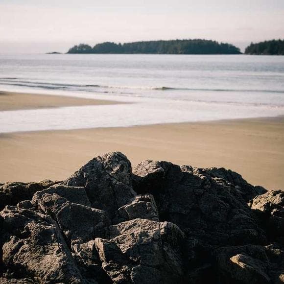 william butler yeats Quotes Founders,Nostalgia,Rich