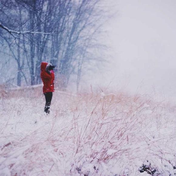 marion zimmer bradley Quotes Fear,Allowing,Your Body