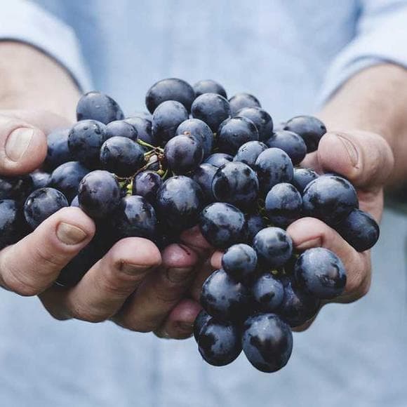 mark bittman Quotes Healthy,Alternatives,Fake