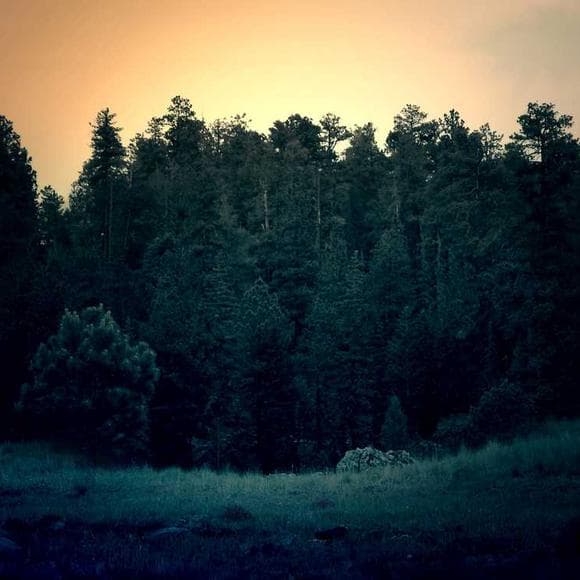 marcus aurelius Quotes Changing Your Life,Being Happy,Always Be Happy