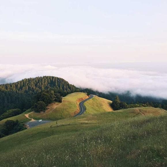 norman maclean Quotes Trout,Grace,Salvation