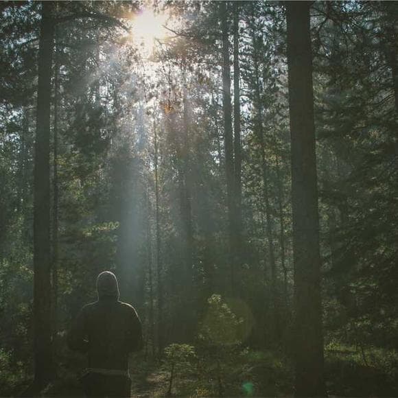 sam harris Quotes Answers,Inability