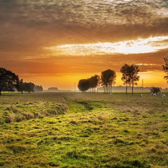 elizabeth gaskell Quotes Atmosphere,Royal,Luxury