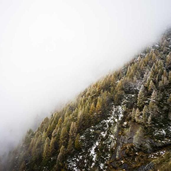 ralph waldo emerson Quotes Conquer,Anxiety And Fear,Face Your Fears