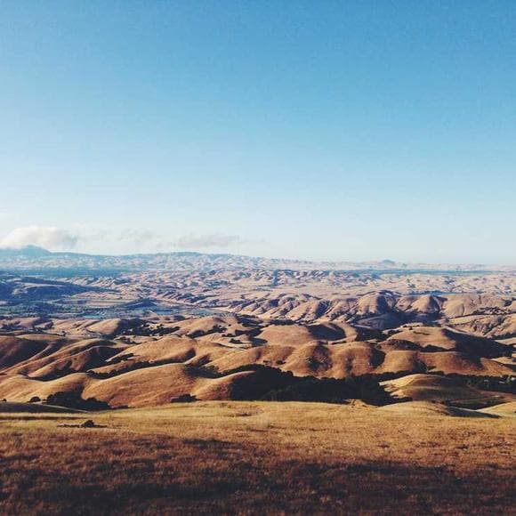 sogyal rinpoche Quotes Ease,Relax,True Nature