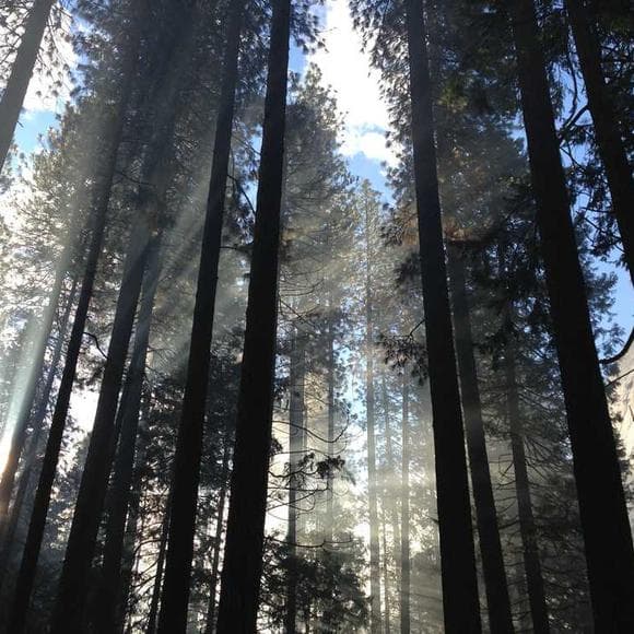 hermann hesse Quotes Concepts,Aphorism,Temperament
