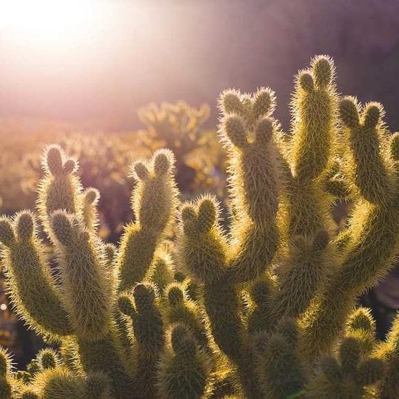 eugene h. peterson Quotes Appetite,Commitment To God,Trust In God