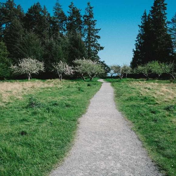 wilton e. hall Quotes April,April And Spring,Spring Time
