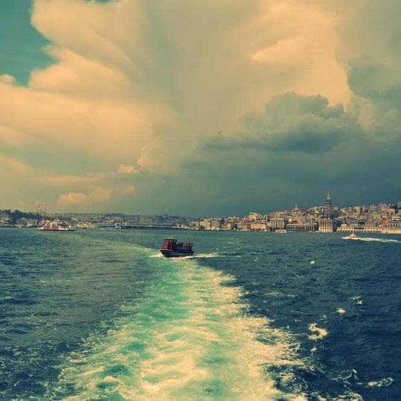 fethullah gulen Quotes Volunteer,Radical,Arise