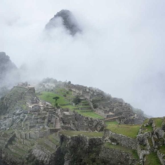 william saroyan Quotes Armenians,Preserves