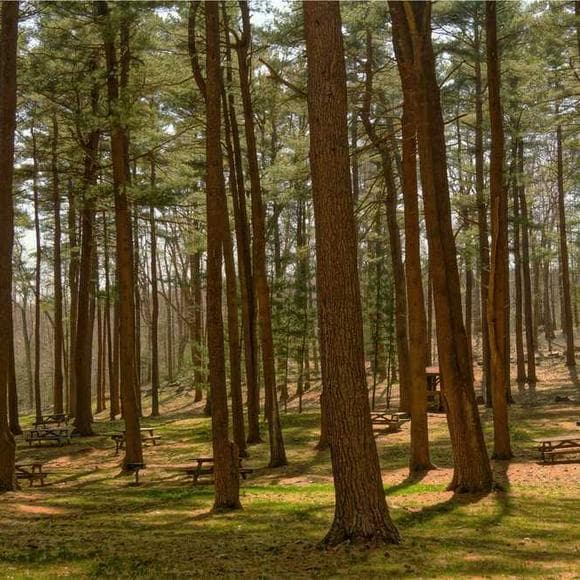 saint francis de sales Quotes Encouragement,Around The Bend,Contradiction