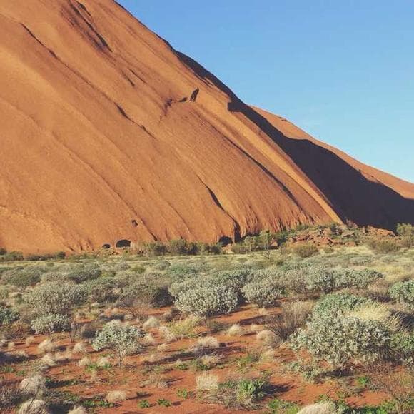john olsen Quotes Historian,Vans,Single Sentence