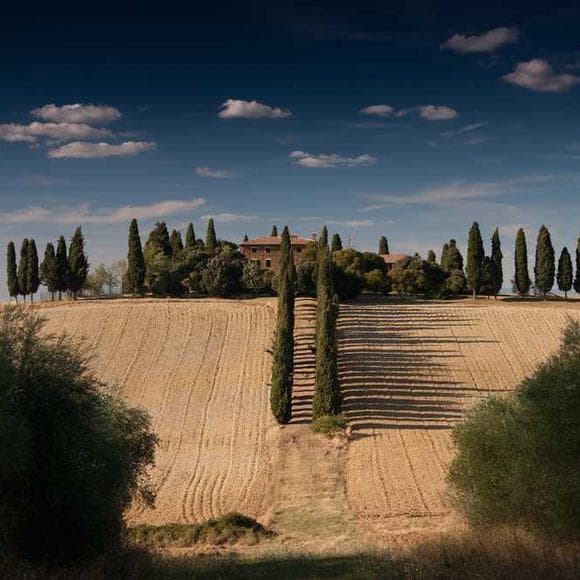christopher bollen Quotes Looking Back,Video,Landmarks