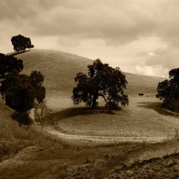 david lynch Quotes Novelists,Inspired,Hitchcock