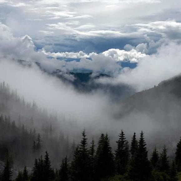 charles reznikoff Quotes Hiking,Curves,Climbs
