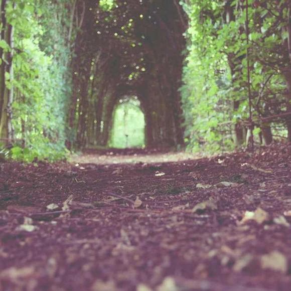 anthony de mello Quotes Wonderful Things,Titles,Someday