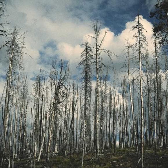 ron paul Quotes Atmosphere,Carbon Dioxide,Carbon