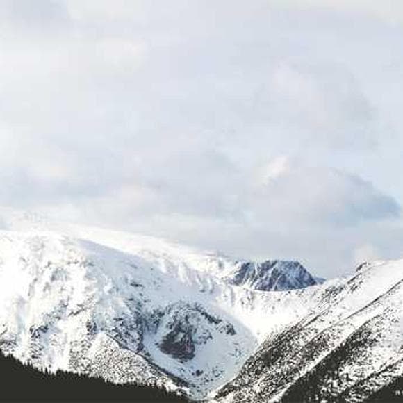 timothy treadwell Quotes Next,Preparing,Guides