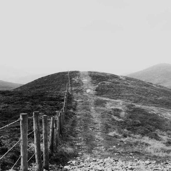 thomas hardy Quotes Assumption,Irrational,Perfect