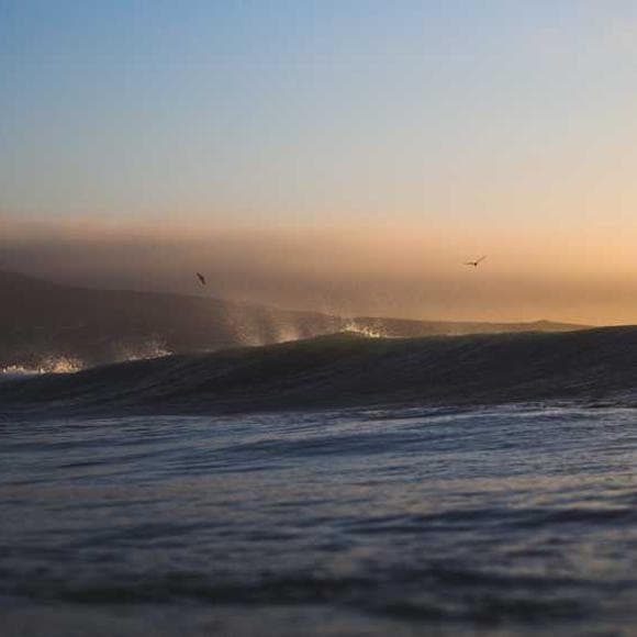 sri sri ravi shankar Quotes Rescue,Ocean,Jackets