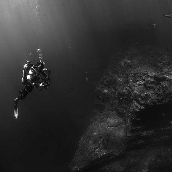 marcus aurelius Quotes Fear,Fear Not,Failure